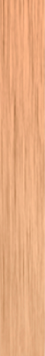 Brushed Rose Gold